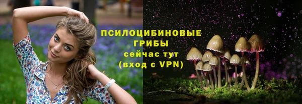 прущие крисы Алексеевка