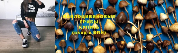 ПСИЛОЦИБИНОВЫЕ ГРИБЫ Алексин