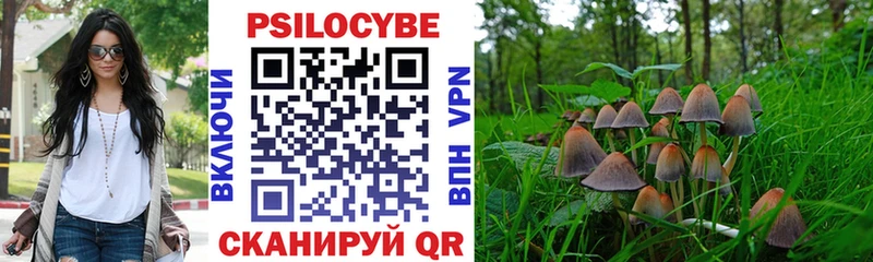 Галлюциногенные грибы Cubensis  Лениногорск 